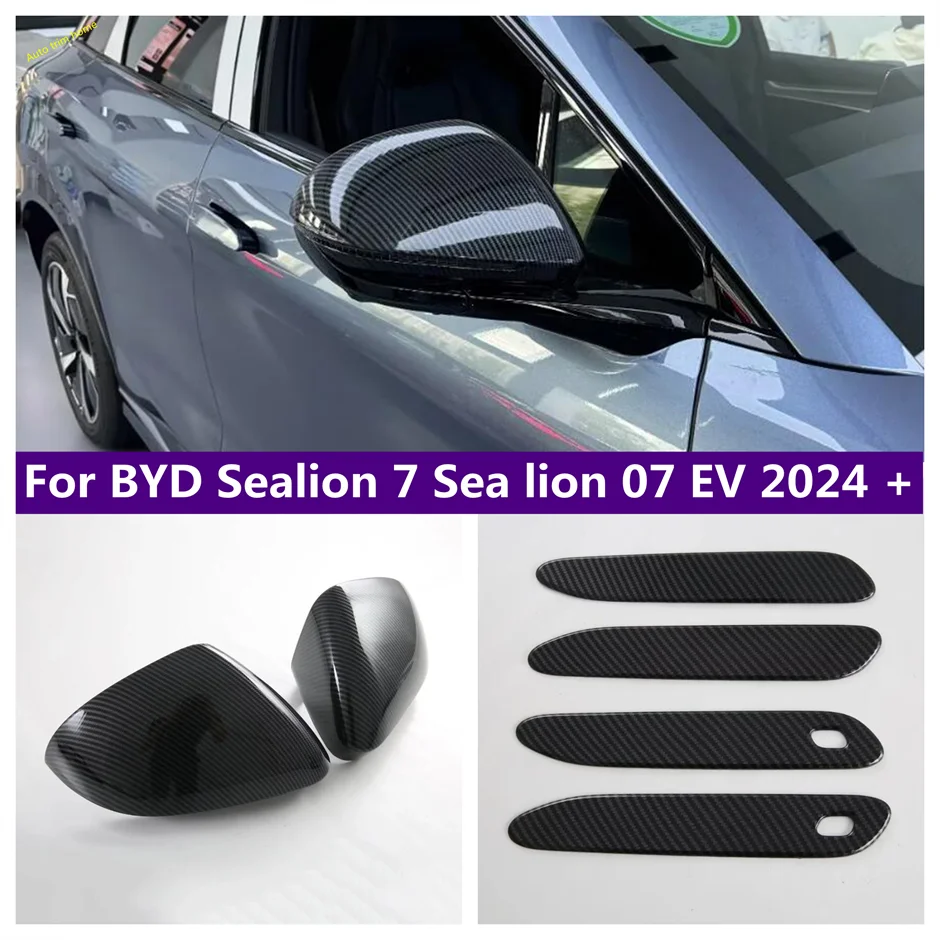 ABS Carbon-Look Door Handle & Mirror Trim for BYD Sealion
