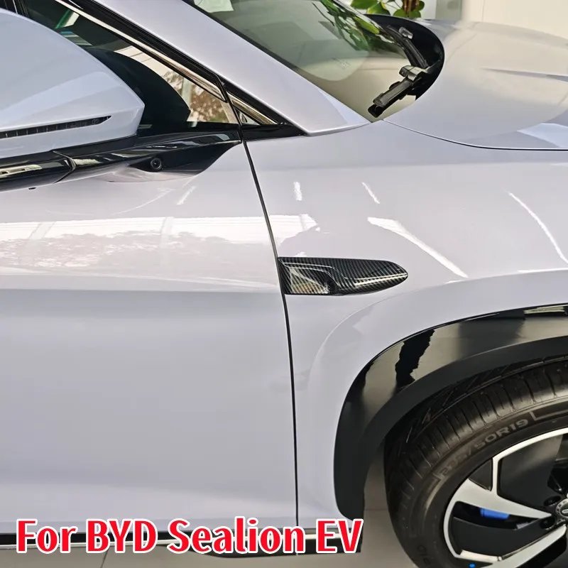 BYD Sealion 7 EV 2024-25 Carbon ABS Fender Camera Cover