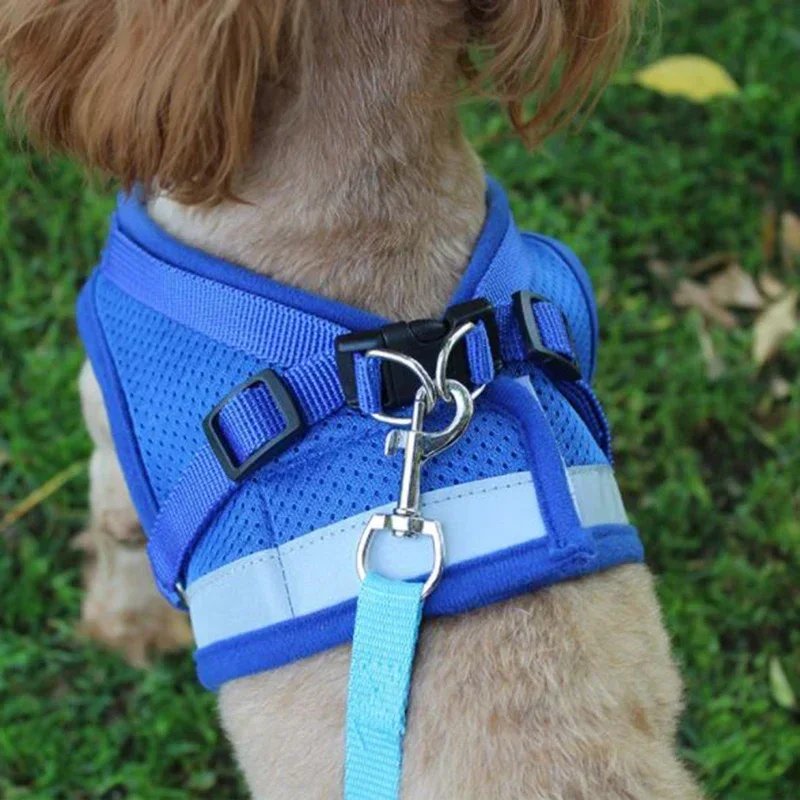 Adjustable Mesh Dog Harness with Leash – XS to XL