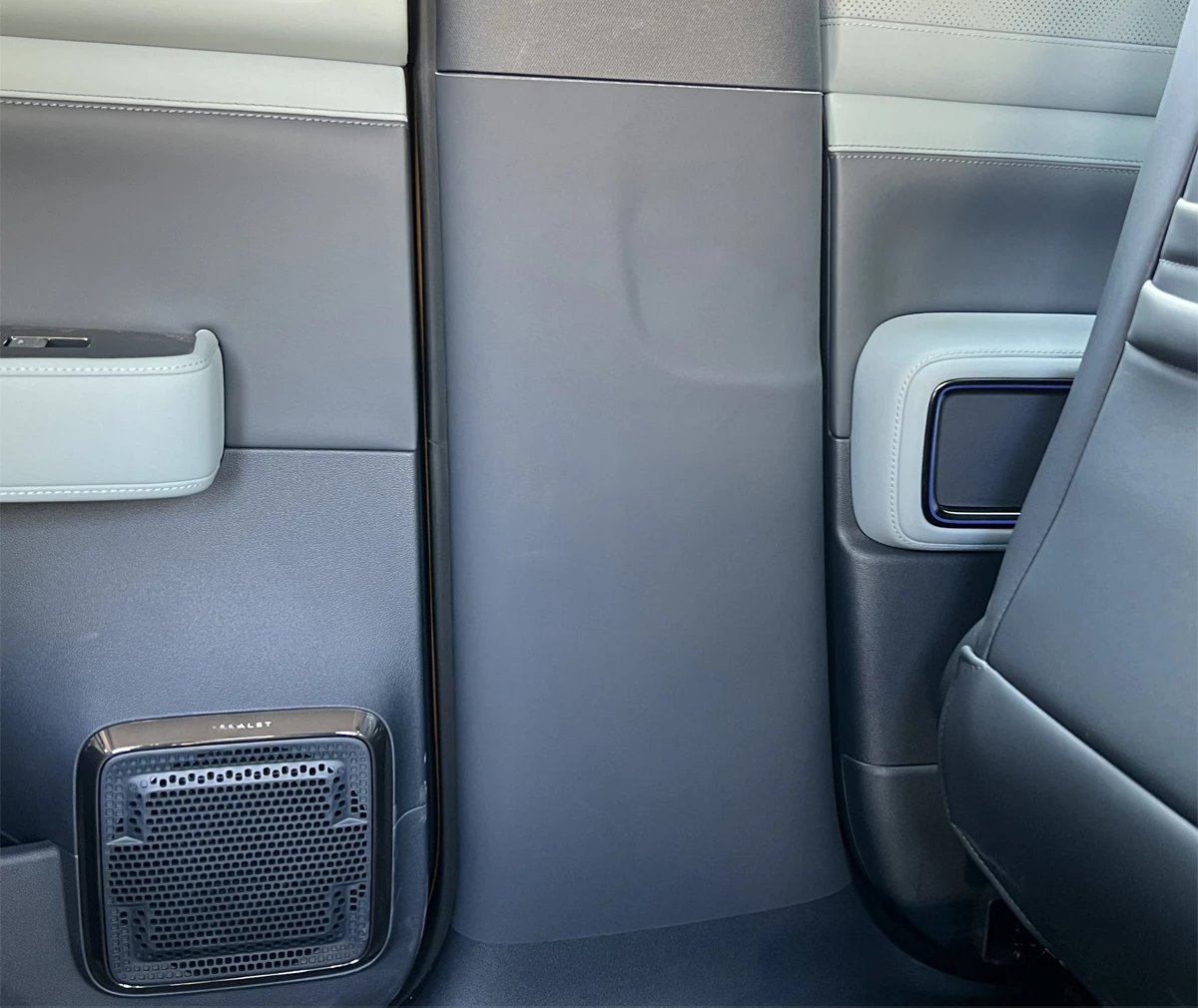 BYD Leopard 5 2023-24 Leather B-Pillar Scratch Guard